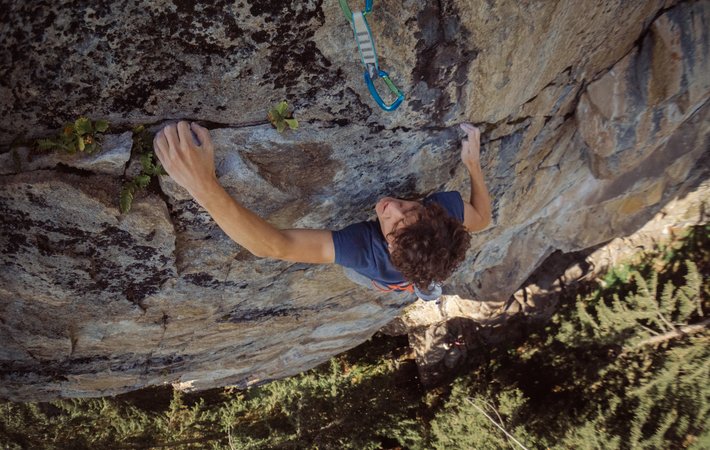 Between cows and climbing fun: